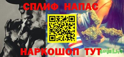 дживик Обь
